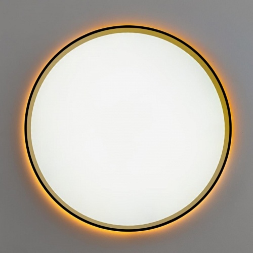 Накладной светильник Citilux ETALON CL750401R в Нижнем Новгороде фото 13