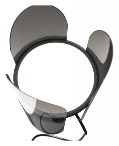 Настольная лампа декоративная Maytoni Insight MOD416TL-L6BR3K в Нижнем Новгороде фото 3