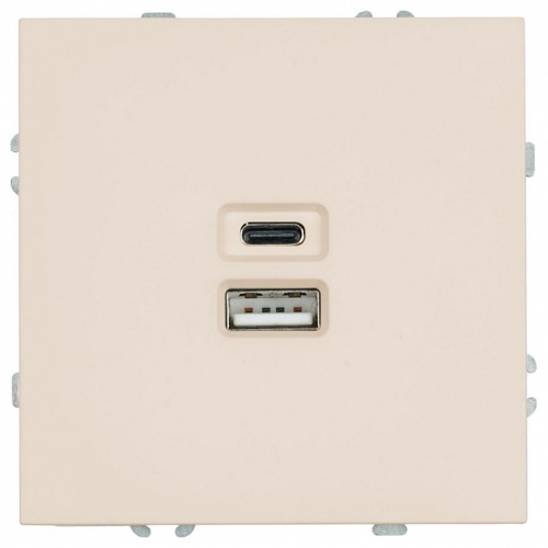 Розетка 2хUSB type A и C без рамки Stekker Эмили 49905 в Нижнем Новгороде