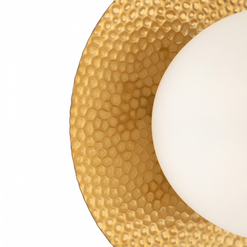 Накладной светильник Freya Camelia FR5202WL-01BS в Нижнем Новгороде фото 2