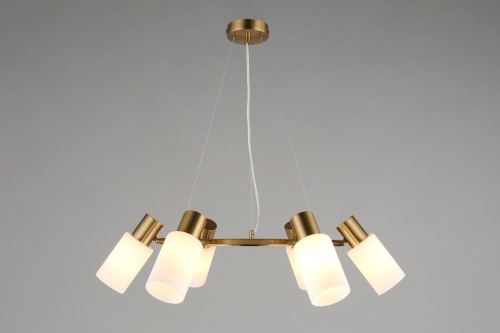 Подвесная люстра Omnilux Ales OML-69103-06 в Нижнем Новгороде фото 8