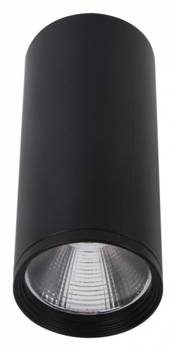 Накладной светильник Kink Light Фабио 08570-12,19 в Нижнем Новгороде