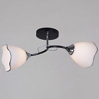 Светильник на штанге  79360-0.3-02 BK+CR в Нижнем Новгороде