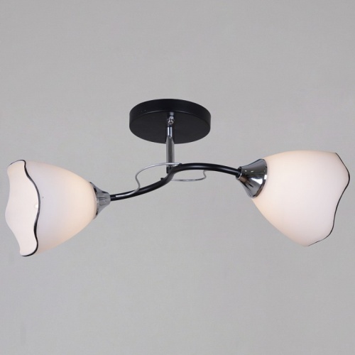 Светильник на штанге  79360-0.3-02 BK+CR в Нижнем Новгороде