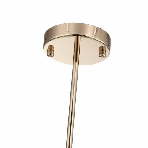 Люстра на штанге ST-Luce Elegra SL1402.203.10 в Нижнем Новгороде фото 4