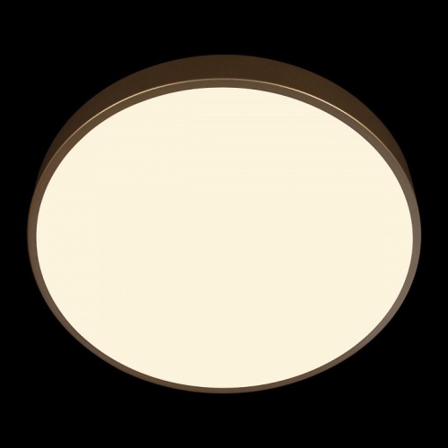 Накладной светильник Loft it Flims 10228/A в Нижнем Новгороде фото 3