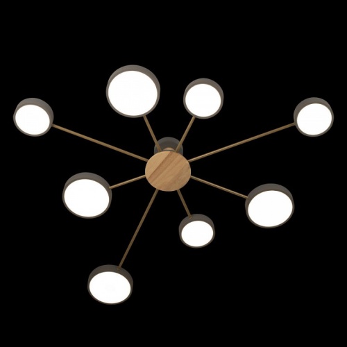 Потолочная люстра Loft it Sunrise 10316/8 Grey в Нижнем Новгороде фото 4