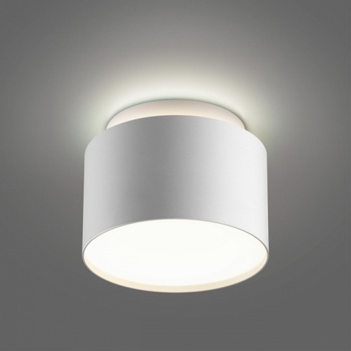 Накладной светильник Novotech LIRIO 371037 в Нижнем Новгороде фото 3