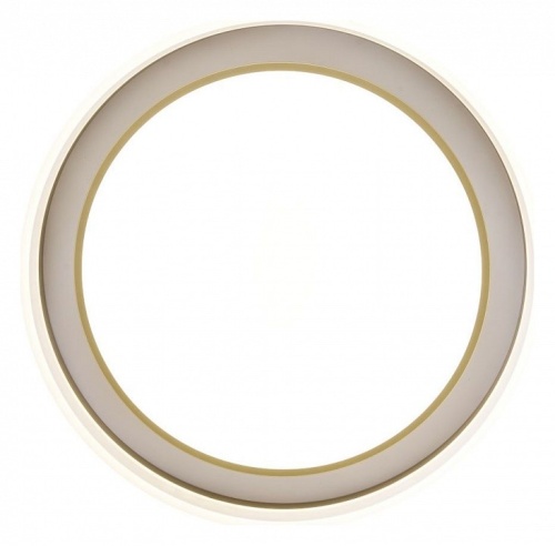 Накладной светильник Zortes Adel ZRS.1200.01 в Нижнем Новгороде фото 5