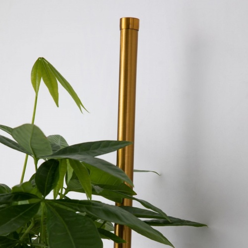 Бра Favourite Greenery 4050-2W в Нижнем Новгороде фото 9