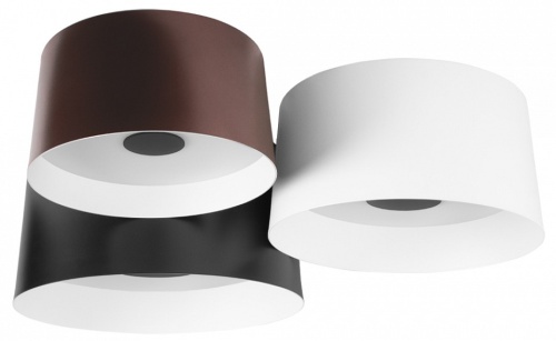 Потолочная люстра Loft it Duo 10360/3 в Нижнем Новгороде фото 7