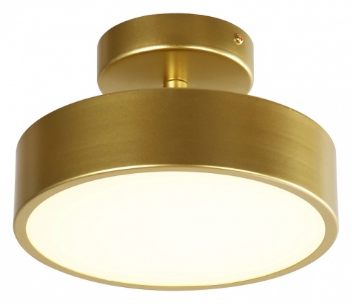 Светильник на штанге F-promo Atma 3059-2P в Нижнем Новгороде фото 4