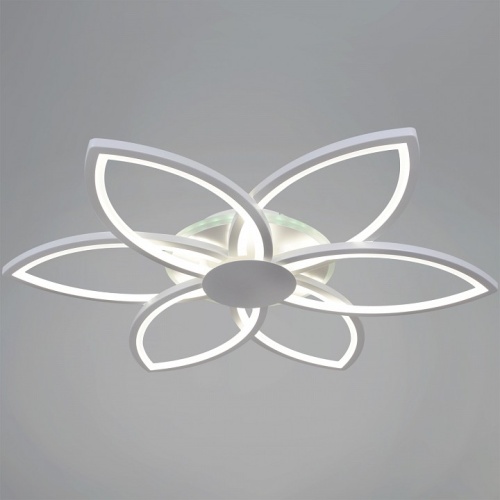 Потолочная люстра 09877-0.3-06B WH (RGB) в Нижнем Новгороде фото 3