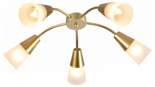 Потолочная люстра  01266-0.3-05B GOLD в Нижнем Новгороде