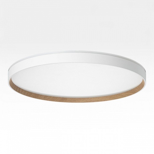 Накладной светильник Citilux ETALON CL750500R в Нижнем Новгороде фото 7