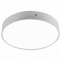 Накладной светильник Favourite Flashled 2065-30C в Нижнем Новгороде