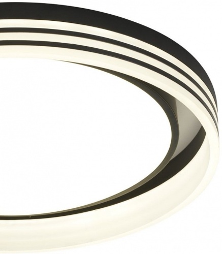 Накладной светильник Zortes Adel ZRS.1200.03 в Нижнем Новгороде фото 2