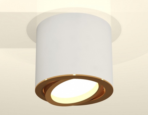 Накладной светильник Ambrella Light XS XS7401004 в Нижнем Новгороде фото 2