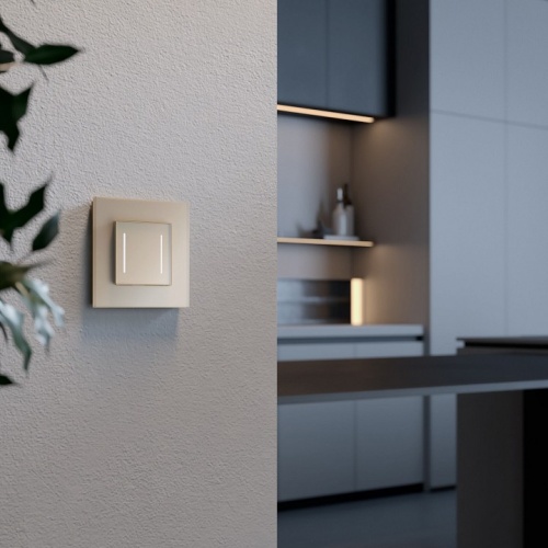 Рамка на 1 пост Werkel Senso (шампань, стекло soft-touch) W0013111 в Нижнем Новгороде фото 4