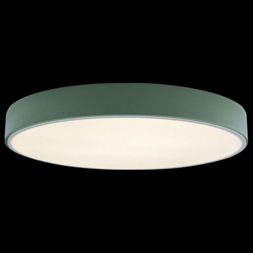 Накладной светильник Loft it Axel 1 10002/24 Green в Нижнем Новгороде фото 3