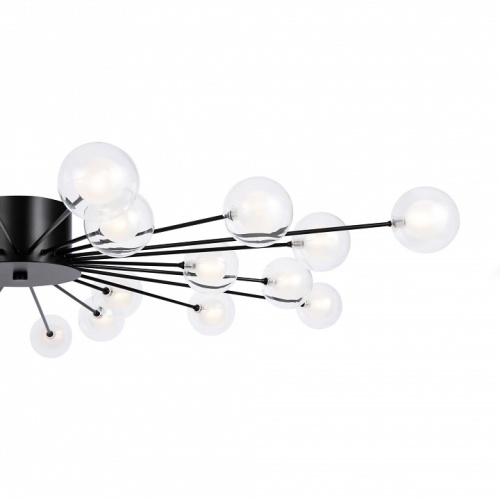 Потолочная люстра Freya Celebrity FR5242CL-24B1 в Нижнем Новгороде фото 4