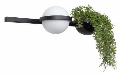 Бра Loft it Jardin 10121W/A в Нижнем Новгороде фото 3