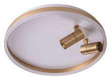 Накладной светильник Zortes Raizy ZRS.1888.02 в Нижнем Новгороде