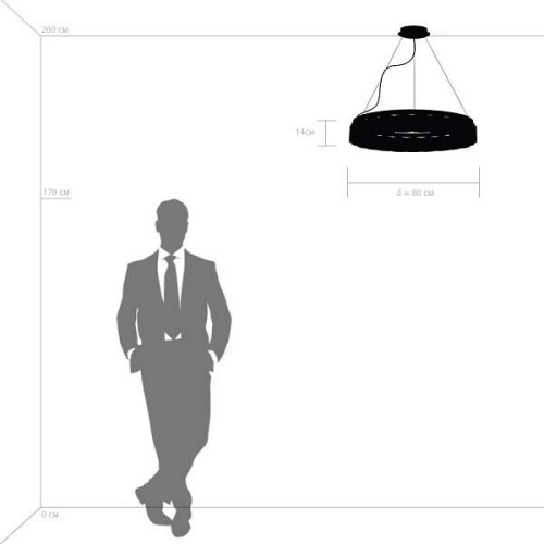Подвесной светильник Lightstar Nibbler 812236 в Нижнем Новгороде фото 2