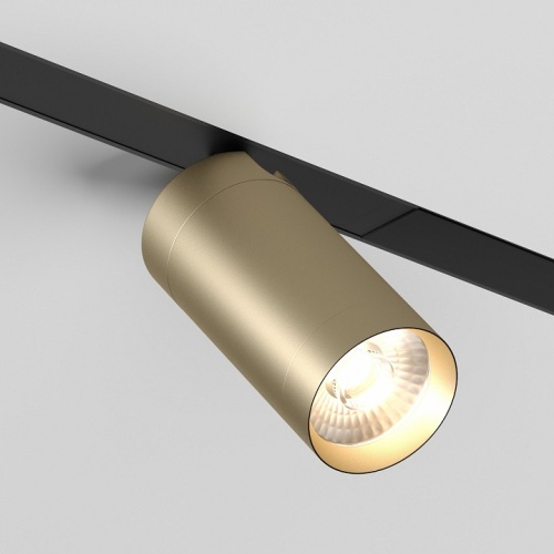 Светильник на штанге Denkirs Smart DK8020-BG в Нижнем Новгороде фото 5