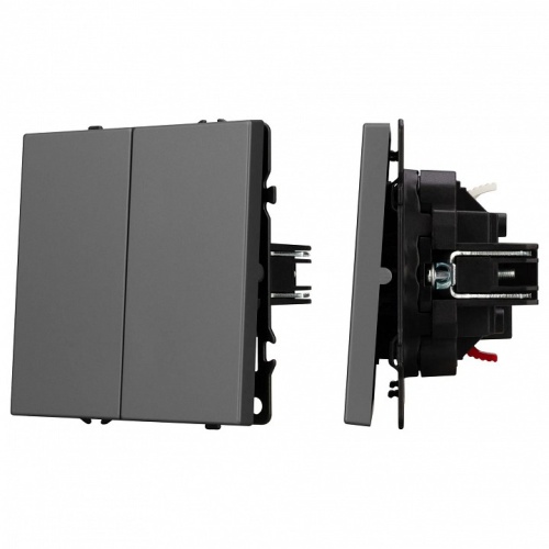 Выключатель проходной двухклавишный без рамки Arlight SWT 054257 в Нижнем Новгороде