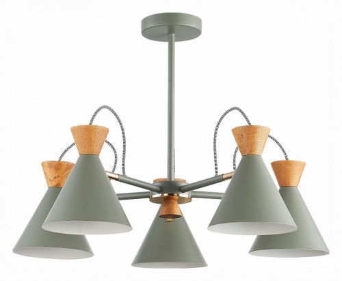 Люстра на штанге EVOLUCE Modica SLE125112-05 в Нижнем Новгороде