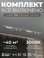 Комплект трековый Hesby Lighting Skylite №5 HSBL_kompl_S005_NI3W3K в Нижнем Новгороде