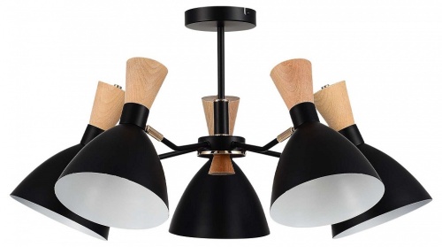 Люстра на штанге EVOLUCE VISTA SLE1256-402-05 в Нижнем Новгороде