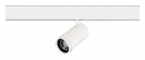 Светильник на штанге ST-Luce SKYLINE 48 ST357.536.20 в Нижнем Новгороде фото 2