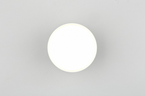 Накладной светильник Omnilux Abano OML-103309-12 в Саратове фото 4
