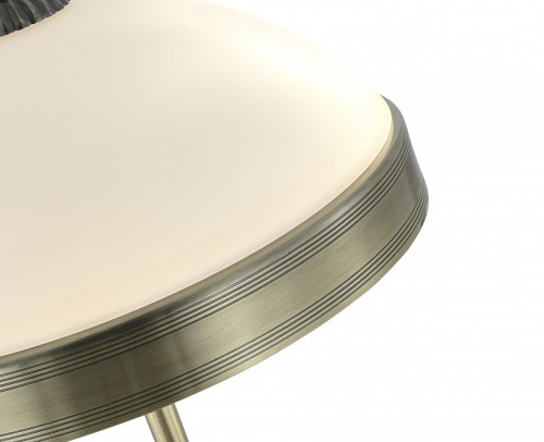 Настольная лампа декоративная MyFar Biene MR2522-2T в Нижнем Новгороде фото 6