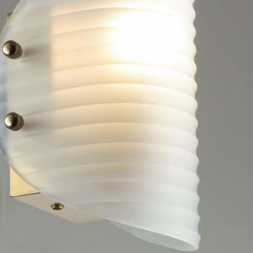 Накладной светильник Lumion Fioro 6571/1W в Нижнем Новгороде фото 8