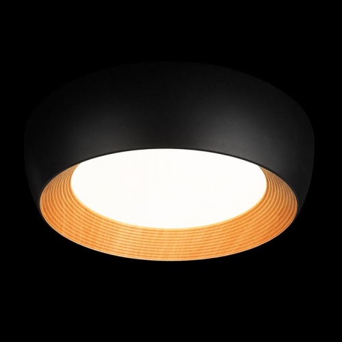 Накладной светильник Loft it Folk 10255/500 Black в Нижнем Новгороде фото 6