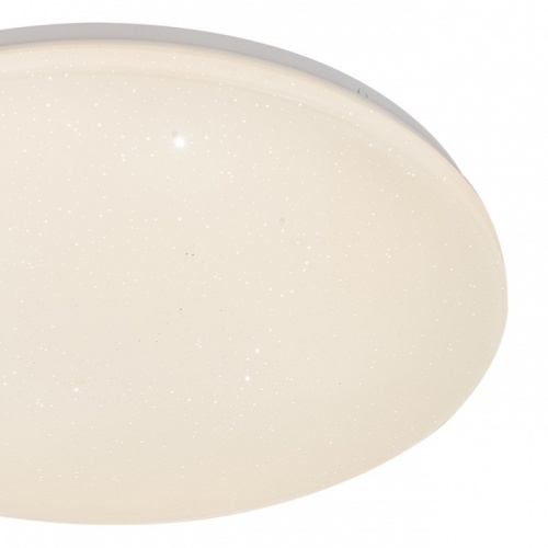 Накладной светильник Escada GALATEA 10216/SG LED APP в Нижнем Новгороде фото 2