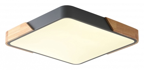 Накладной светильник Zortes Alberro ZRS.01288.24 в Нижнем Новгороде фото 5