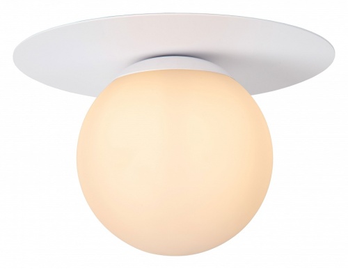 Накладной светильник Lucide Tricia 79187/01/31 в Нижнем Новгороде фото 3