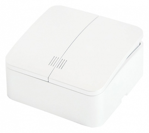 Выключатель двухклавишный с подсветкой Stekker София 49290 в Нижнем Новгороде