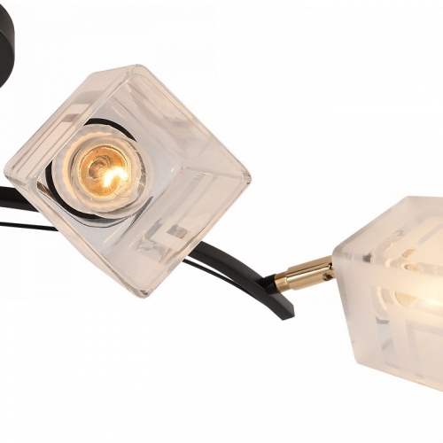 Люстра на штанге 01594-3.3-04B BK+FGD в Нижнем Новгороде фото 2