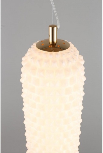 Подвесной светильник Aployt Ozeynn APL.332.06.22 в Нижнем Новгороде фото 5