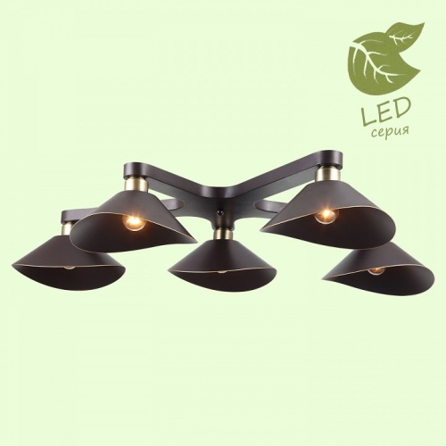 Потолочная люстра Lussole Opelika GRLSP-9535 в Нижнем Новгороде фото 2
