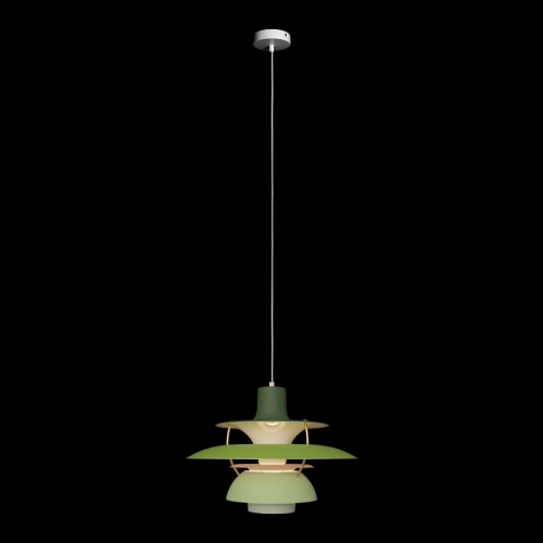 Подвесной светильник Loft it Floret 10113 Green в Коркино фото 6