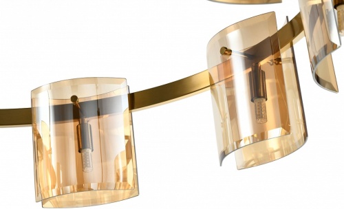 Подвесная люстра Zortes Rony ZRS.1200.08 в Нижнем Новгороде фото 3