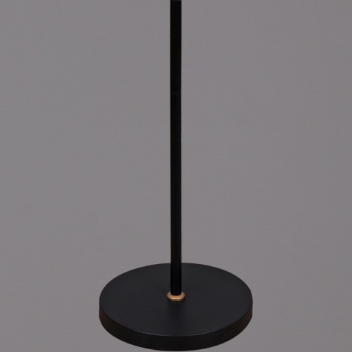 Торшер 00301-0.6-01D BK в Нижнем Новгороде фото 4