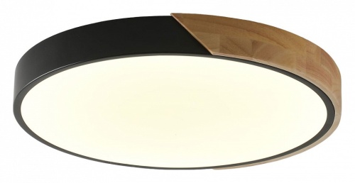 Накладной светильник Zortes Alberro ZRS.01287.48 в Нижнем Новгороде фото 2