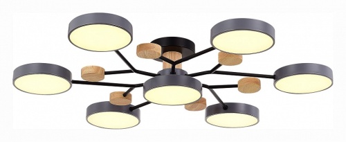 Потолочная люстра EVOLUCE Faema SLE6006-702-07 в Нижнем Новгороде фото 5